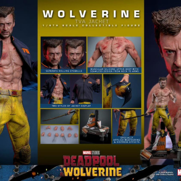Wolverine TVA